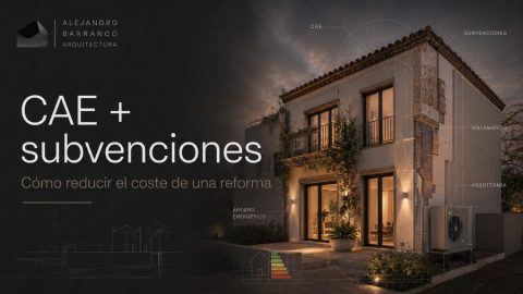 cae subvenciones