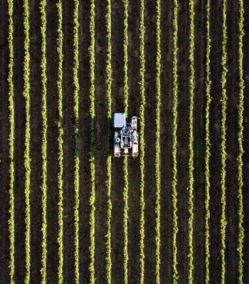 ALQUERIA LA HUERTA TEXTURE 2 huerta valenciana arquitectos