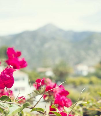 CASA ENTRE VIÑEDOS TEXTURE 3 paisajismo arquitectos rurales