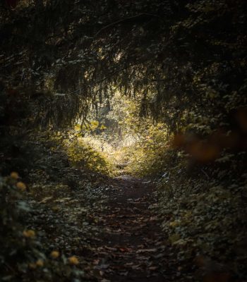 CASA REFUGIO TEXTURE 1 CASA REFUGIO TEXTURE 1