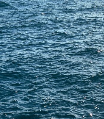 SAN FERRAN HOMES TEXTURE SAN FERRAN HOMES TEXTURE